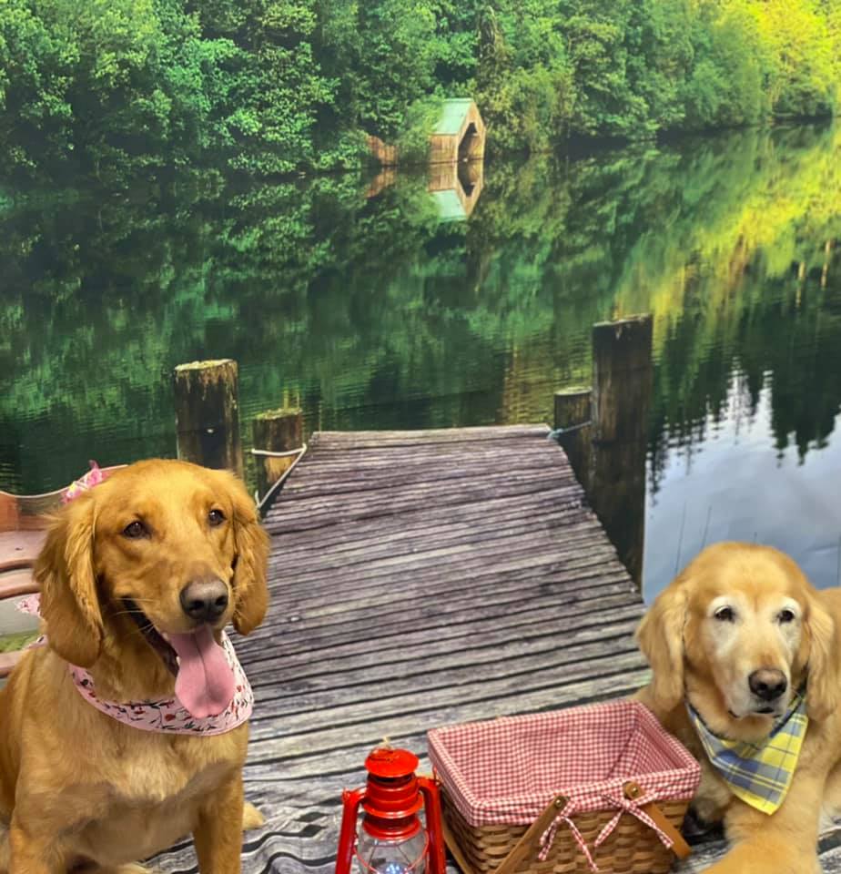 Picture Perfect Grooming, Inc Clarksville, TN