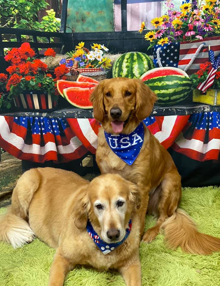 Picture Perfect Grooming, Inc - Clarksville, TN
